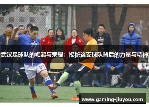 武汉足球队的崛起与荣耀：揭秘这支球队背后的力量与精神