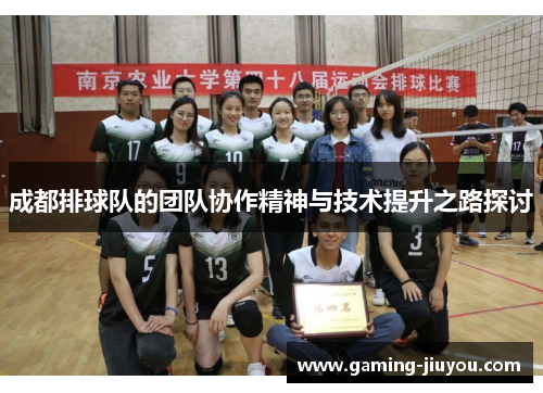 成都排球队的团队协作精神与技术提升之路探讨